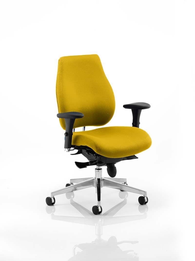 Chiro Plus Posture Chair Bespoke - ChairwayUKHome Office ChairKCUP0149Image ForChiro Plus Posture Chair Bespoke